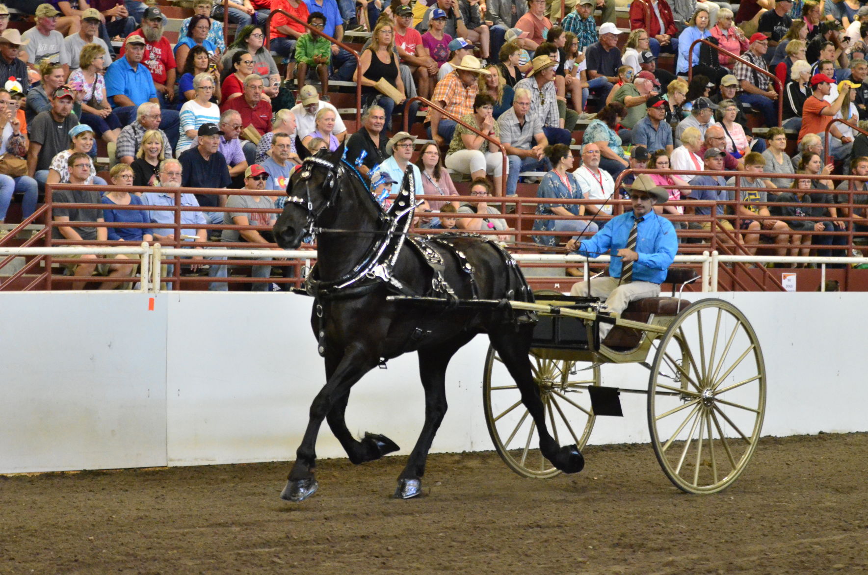 8-25-19 Draft Horse Hitch Final (22).JPG